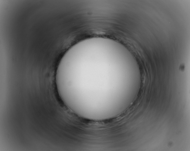 X0000103220559200808280929