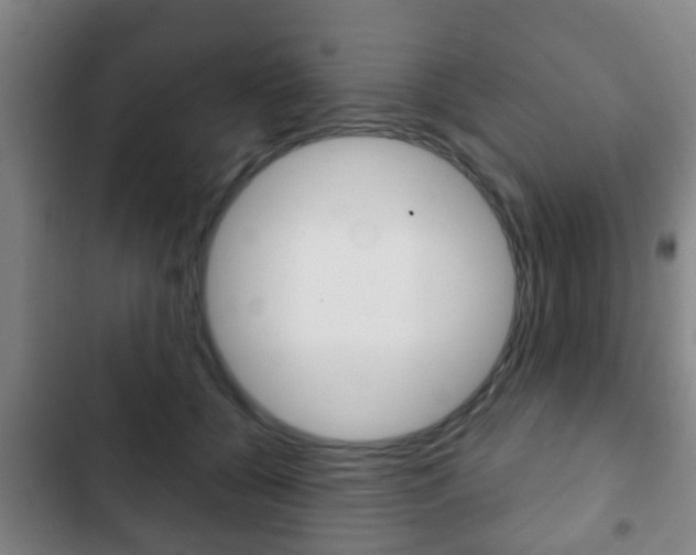 X0000103220560200808280929
