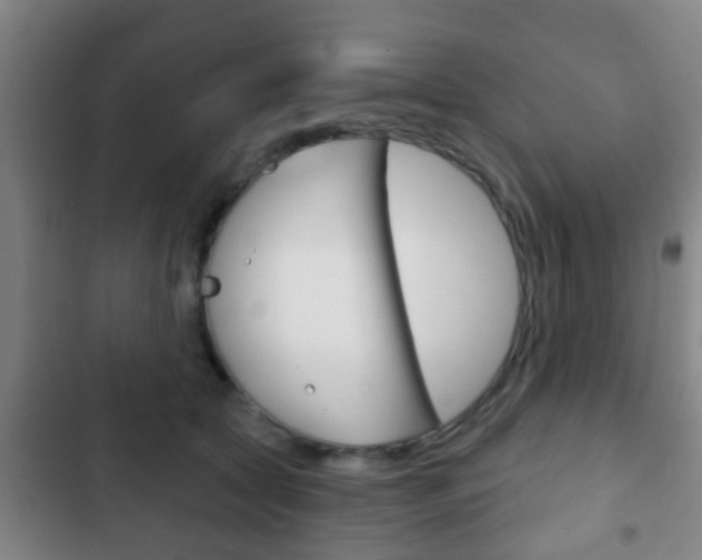 X0000103220561200808280929