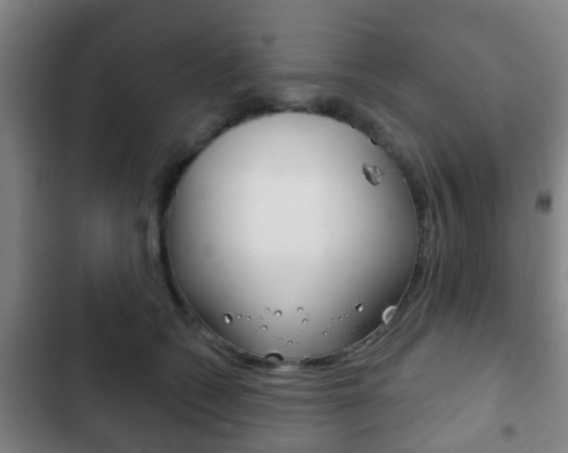 X0000103220562200808280929