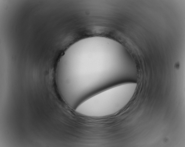 X0000103220563200808280929