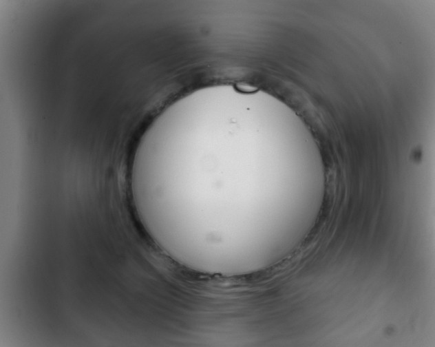 X0000103220564200808280929