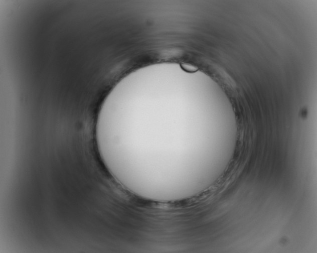 X0000103220565200808280929