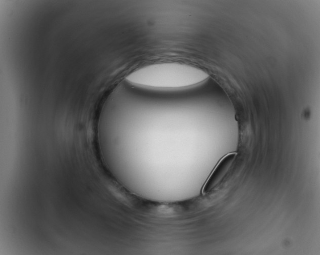X0000103220566200808280929