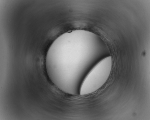 X0000103220567200808280929