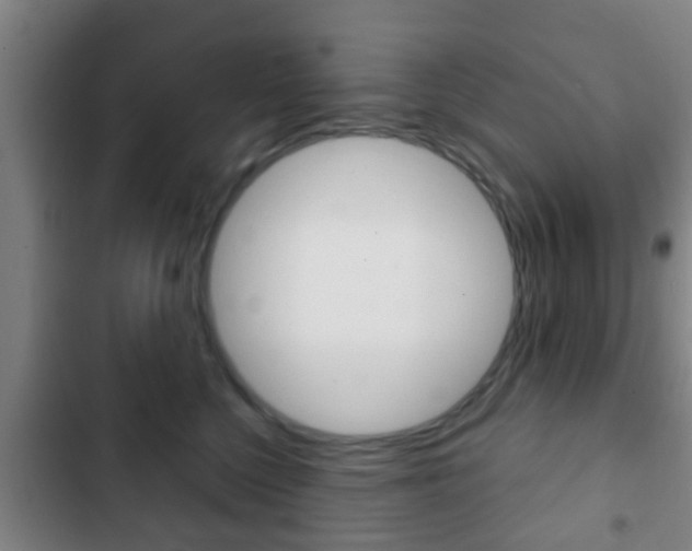 X0000103220568200808280929