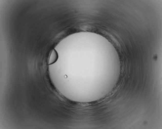 X0000103220569200808280929