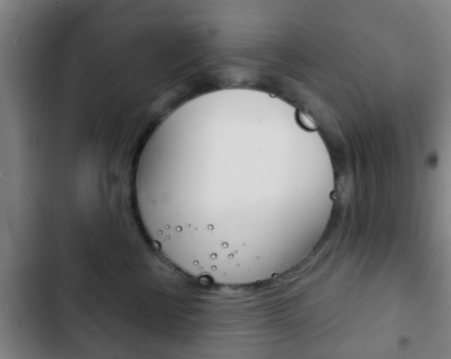 X0000103220570200808280929