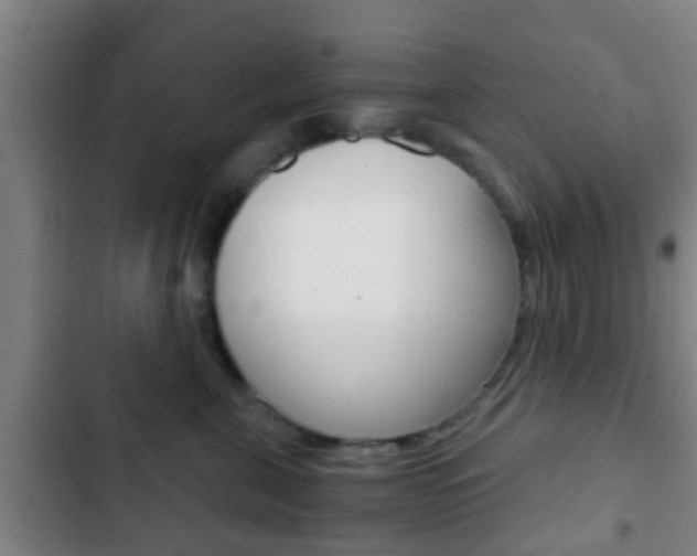 X0000103220571200808280929