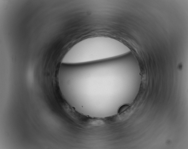 X0000103220572200808280929