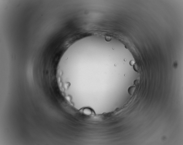 X0000103220573200808280929