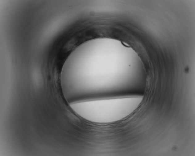 X0000103220574200808280929