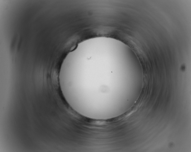 X0000103220575200808280929