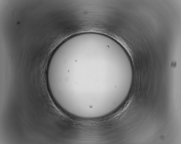 X0000103220577200808280928