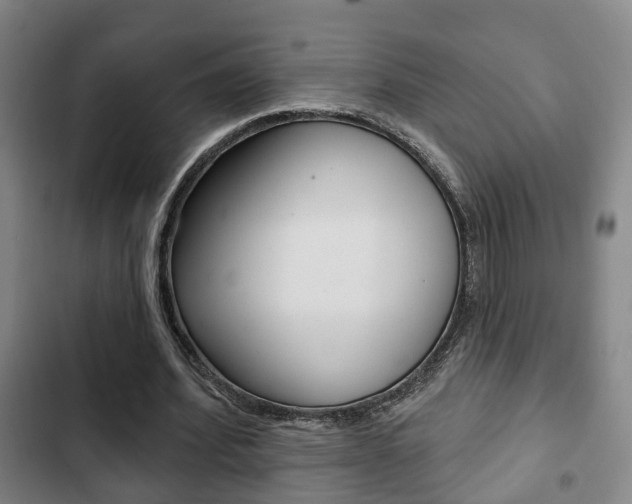 X0000103220580200808280928