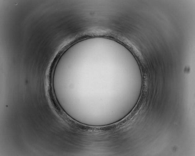 X0000103220582200808280928
