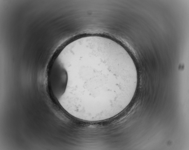 X0000103220584200808280928