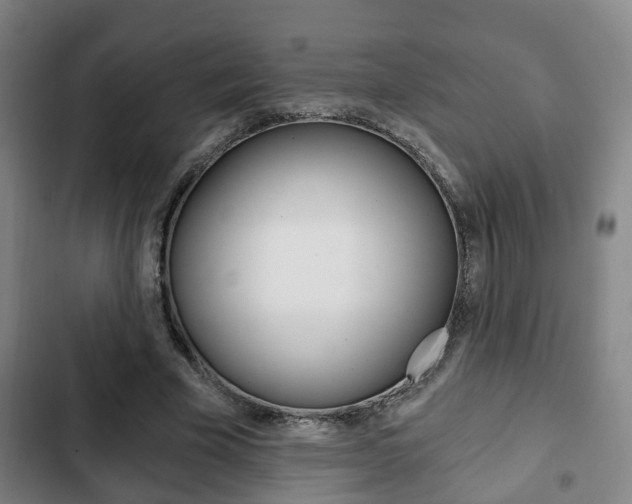X0000103220585200808280928