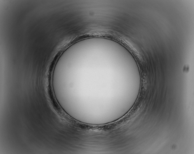 X0000103220586200808280928