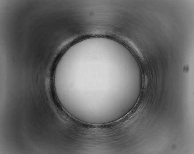 X0000103220588200808280928