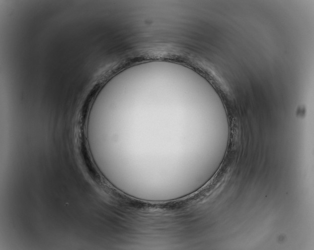 X0000103220590200808280928