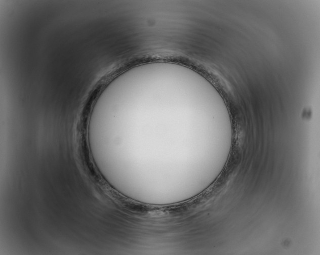 X0000103220591200808280928