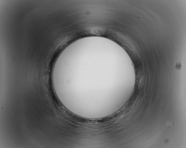 X0000103220595200808280928