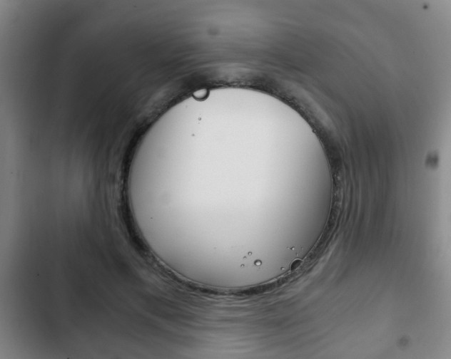 X0000103220597200808280928
