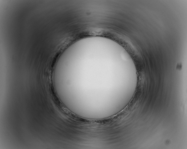 X0000103220598200808280928
