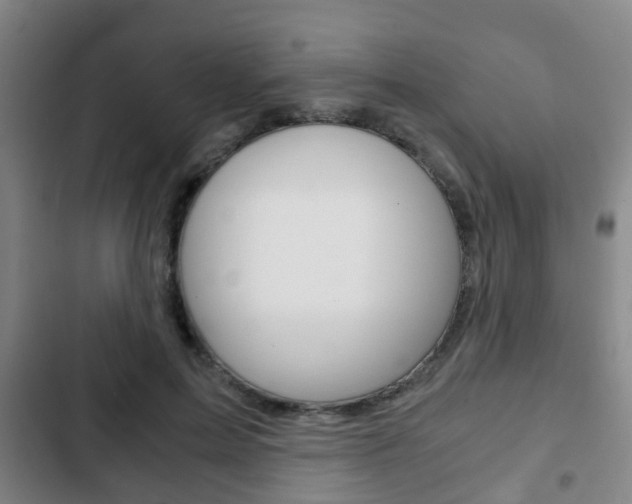 X0000103220599200808280928