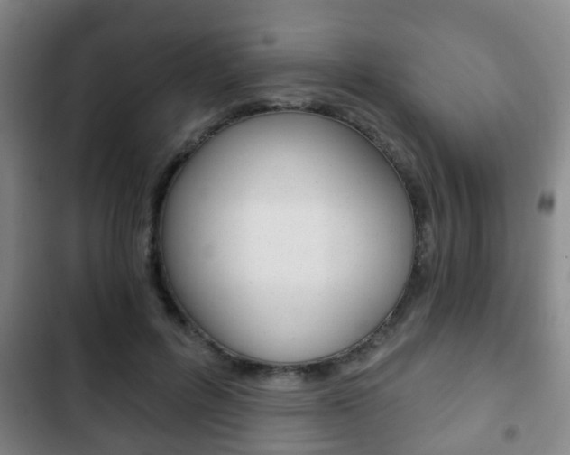 X0000103220600200808280928