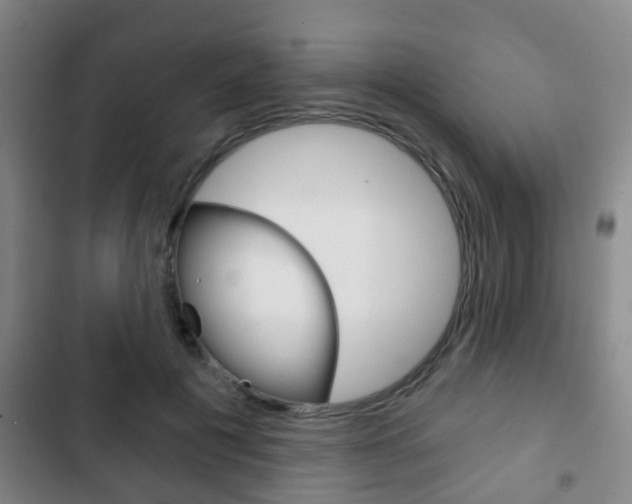 X0000103220601200808280928