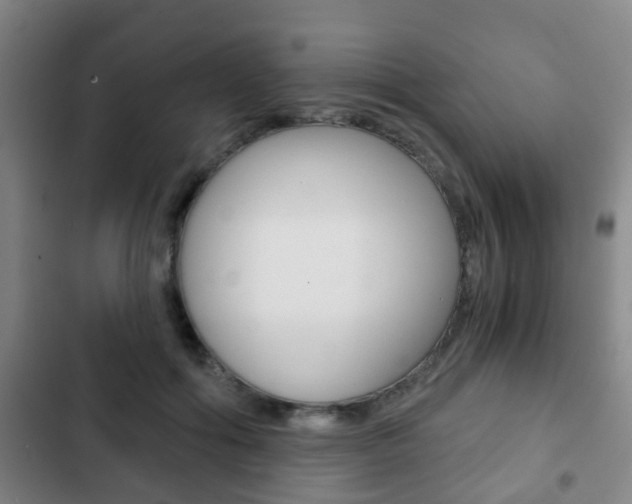 X0000103220602200808280928