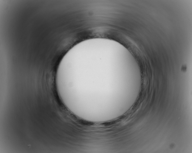 X0000103220603200808280928
