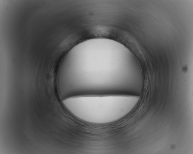 X0000103220604200808280928