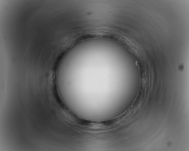 X0000103220605200808280928
