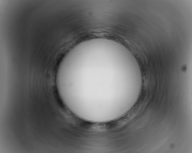 X0000103220606200808280928