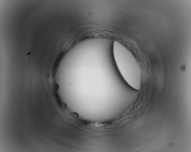 X0000103220607200808280928