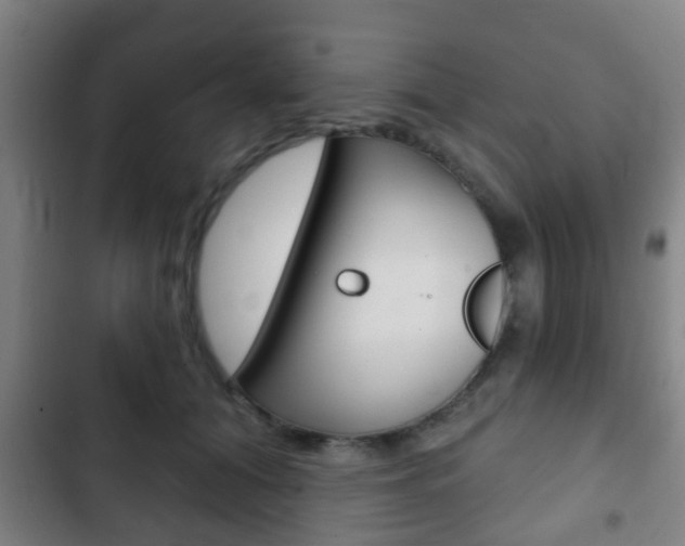 X0000103220608200808280928