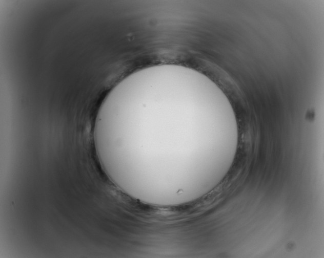 X0000103220610200808280928