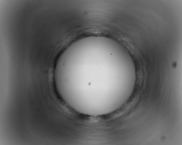 X0000103220612200808280928