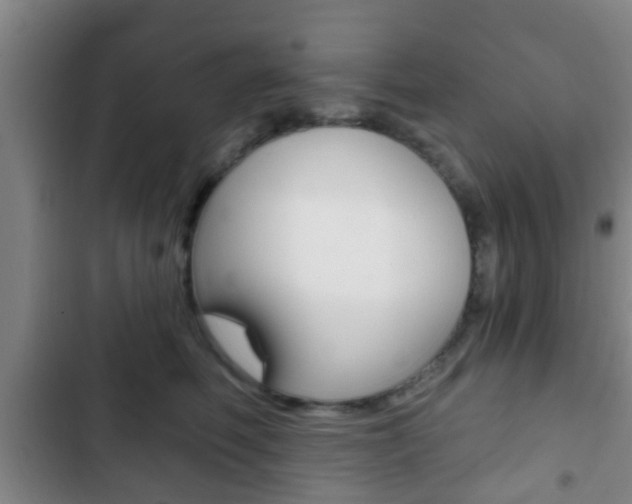 X0000103220614200808280928