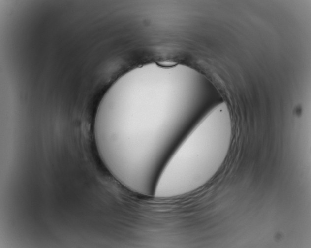 X0000103220615200808280927