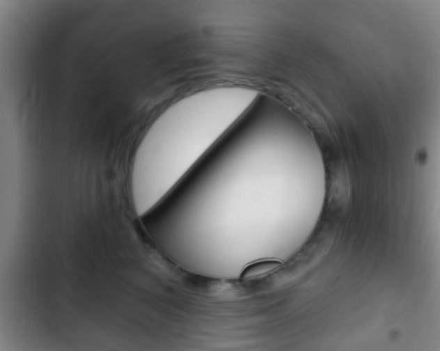 X0000103220616200808280927