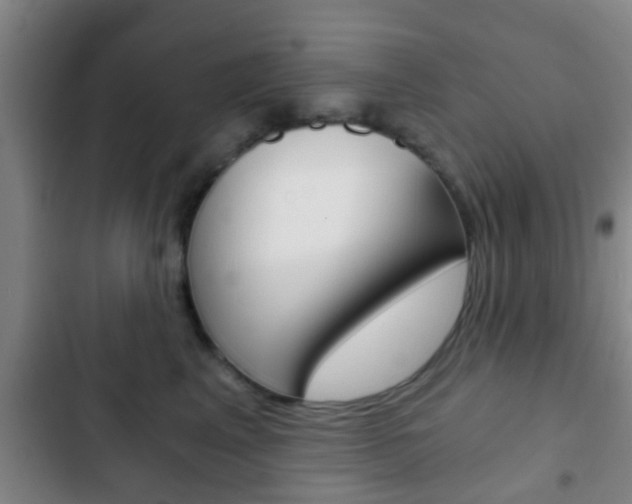 X0000103220617200808280927