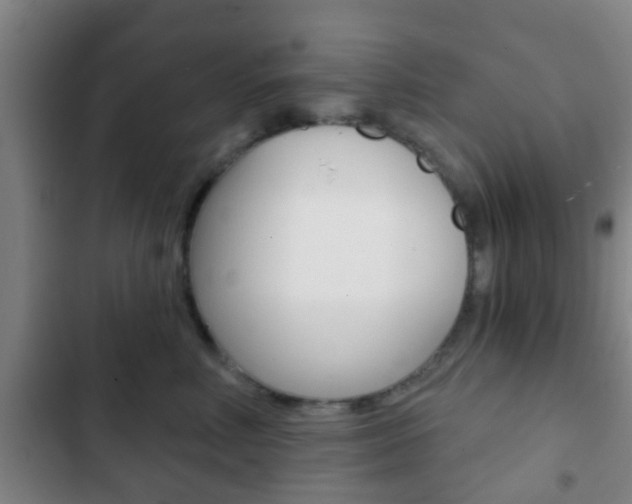 X0000103220618200808280927