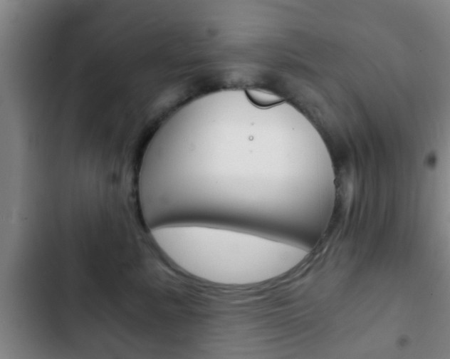 X0000103220619200808280927