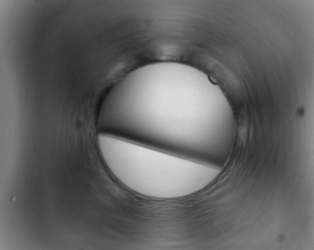 X0000103220620200808280927
