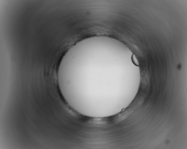 X0000103220622200808280927