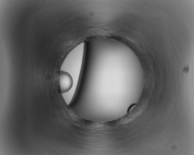 X0000103220624200808280927